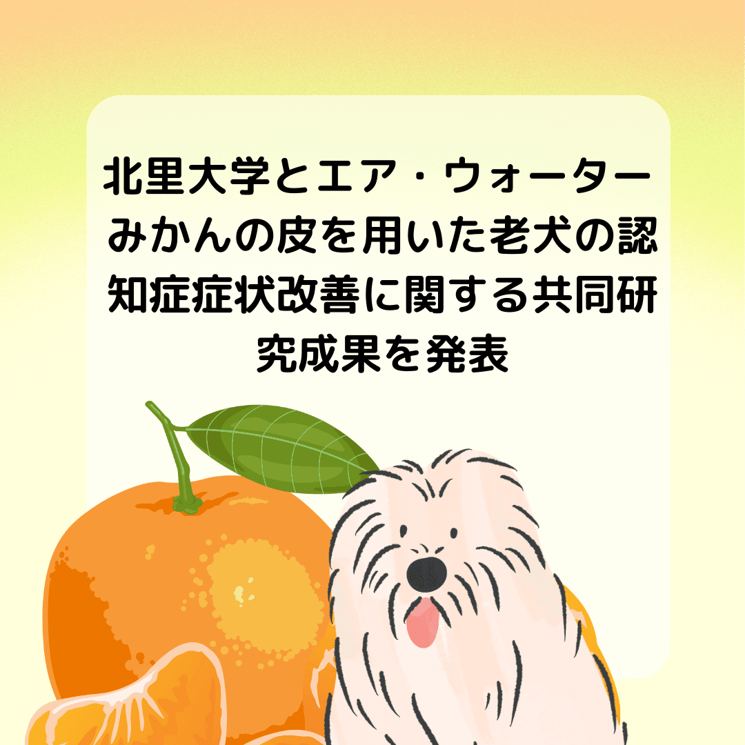 投稿の画像